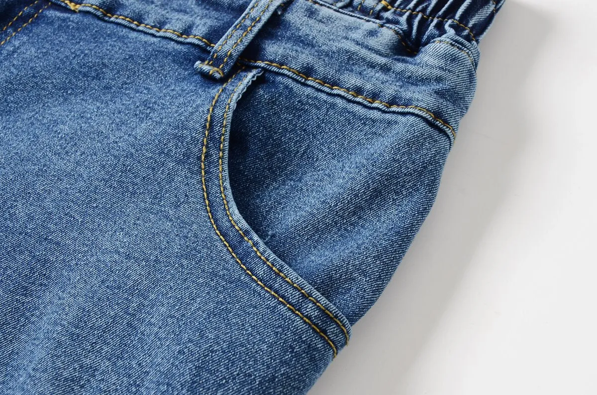 Jamie Plus Size Highwaist Denim Shorts