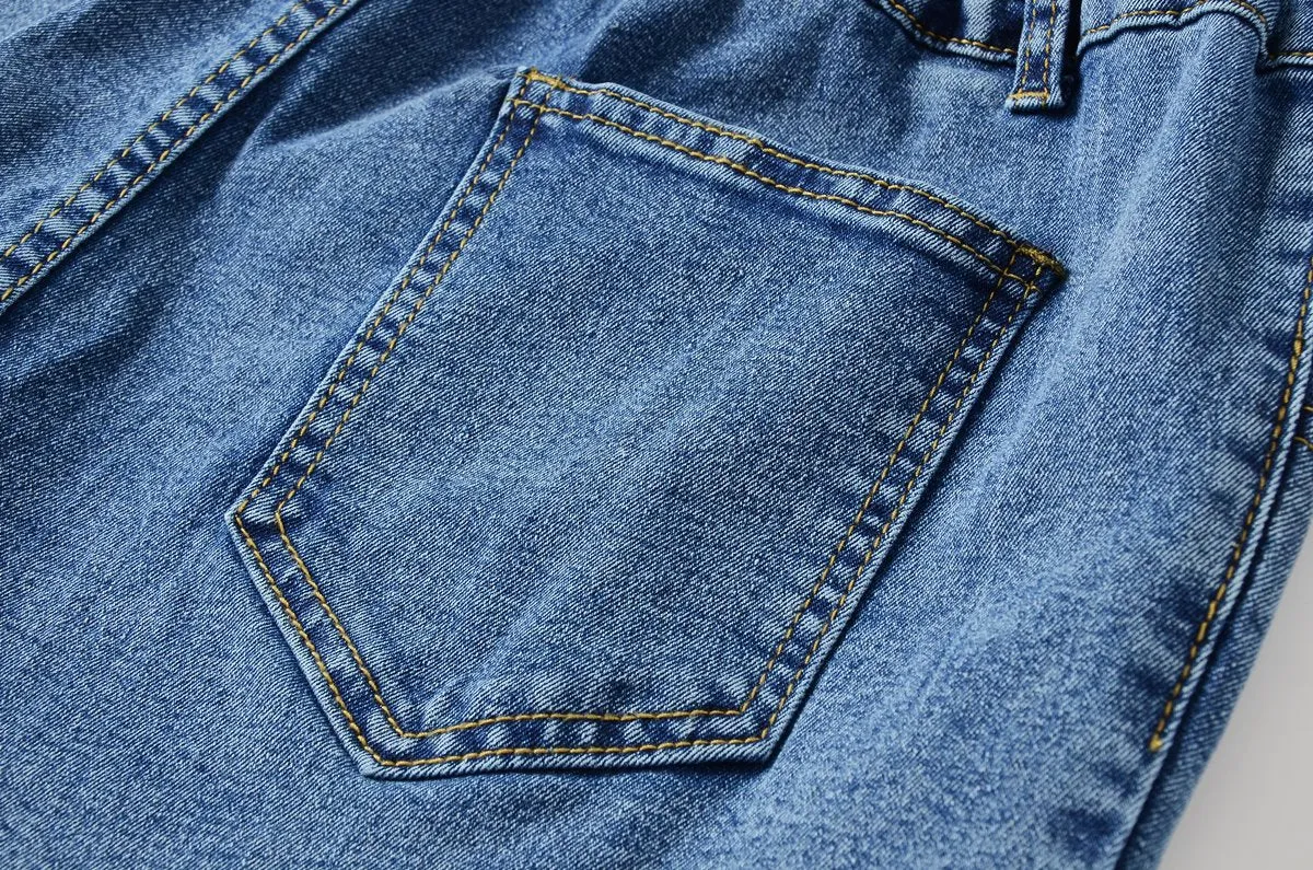 Jamie Plus Size Highwaist Denim Shorts